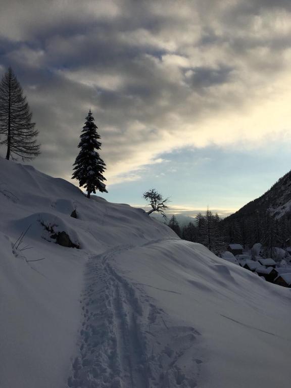 Walser App.31 Pozzi room 6